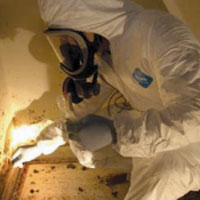 mold cleanup