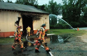 Pet Store Fire